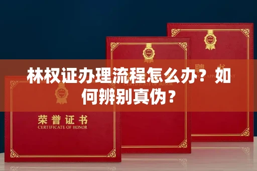 长春林权证办理流程怎么办？如何辨别真伪？
