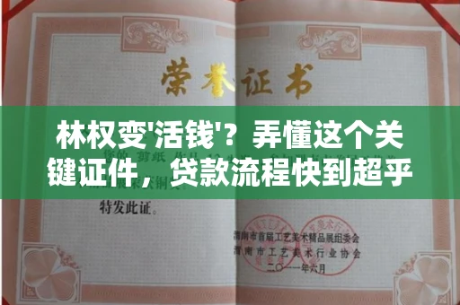 长春林权变'活钱'？弄懂这个关键证件，贷款流程快到超乎想象！