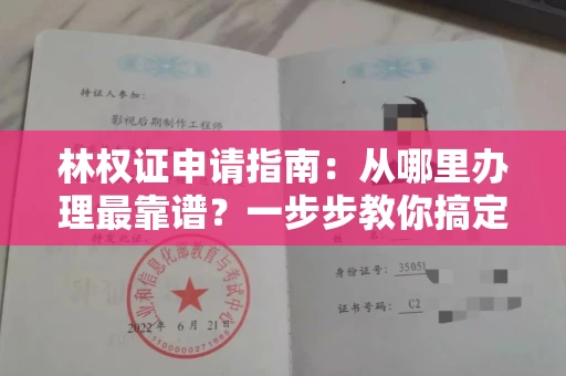 长春林权证申请指南：从哪里办理最靠谱？一步步教你搞定