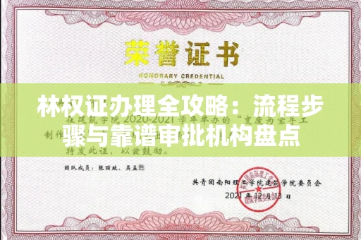 长春林权证办理全攻略：流程步骤与靠谱审批机构盘点