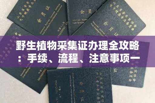 长春野生植物采集证办理全攻略:手续、流程、注意事项一网打尽
